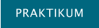 PRAKTIKUM