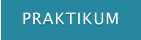 PRAKTIKUM